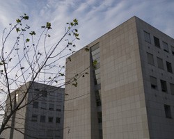 DSC_0003_web.jpg